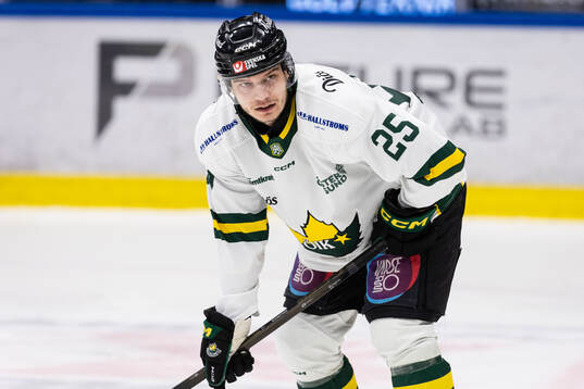 under ishockeymatchen i Hockeyallsvenskan mellan