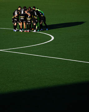 Häckens spelare samlade