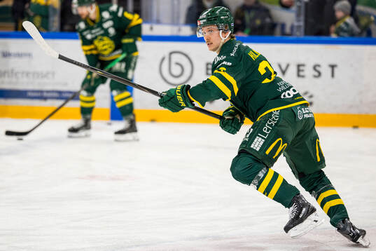 Björklövens Lenni Killinen
