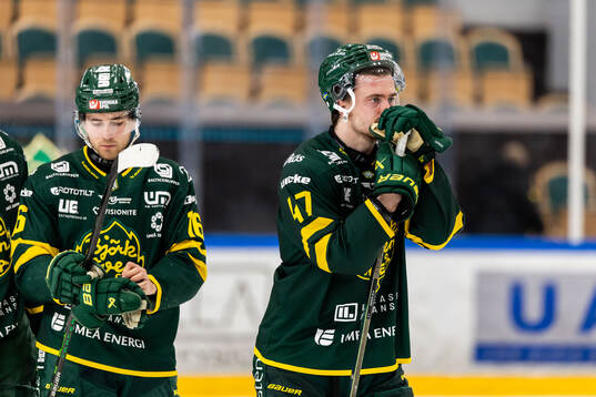 Björklövens Marcus Björk deppar