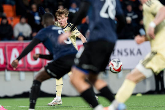 Djurgårdens Bo Hegland
