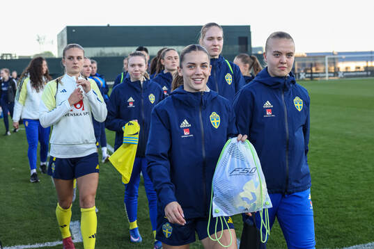 Players of Sweden