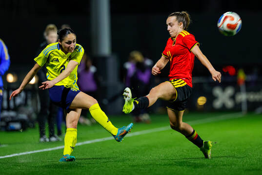 Nesrin Akgün of Sweden