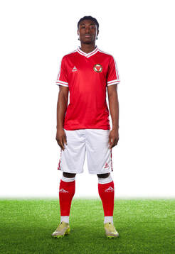 Kalmars Emeka nnamani