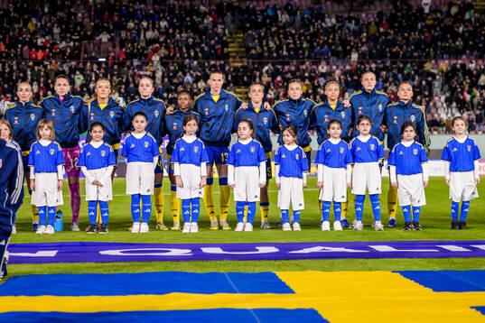 Players of Sweden