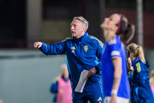 Assistant coach Niklas Egnell of Sweden