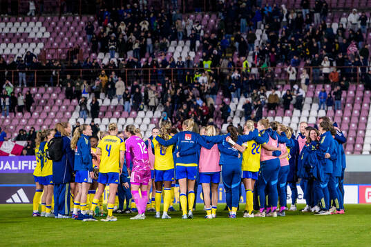 Players of Sweden