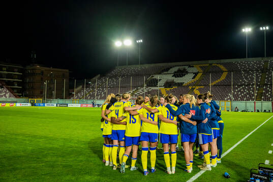 Player of Sweden gather