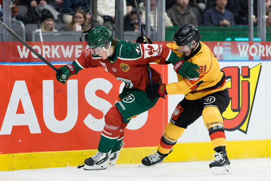 Ivar Stenberg of Frölunda  and Brian O'Neill of Luleå