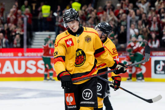 Filip Eriksson of Luleå looks dejected