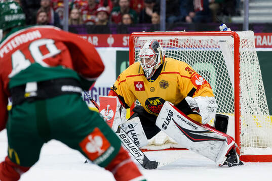 Goaltender Matteus Ward of Luleå