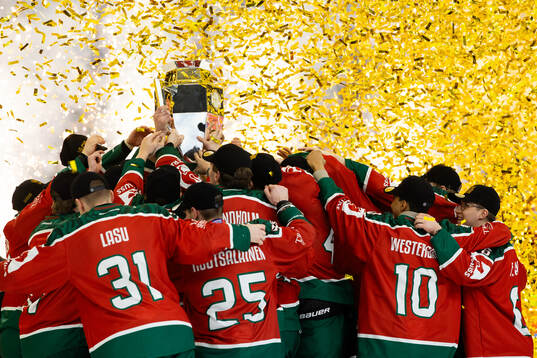 during the Champions Hockey League final between Frölunda