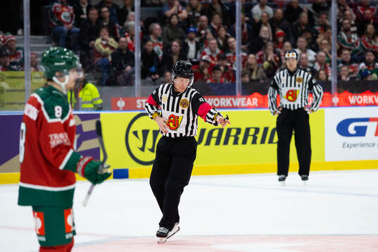 Referee Mikael Holm