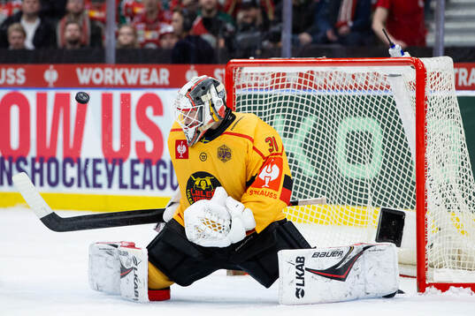 Goaltender Matteus Ward of Luleå