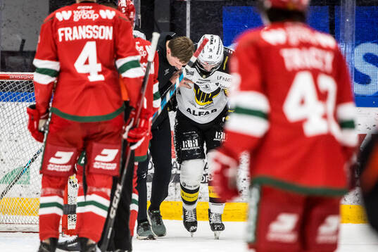 Västerås Max Karlsson lämnar isen