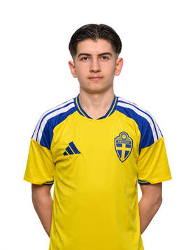 Dennis Ertas Strid