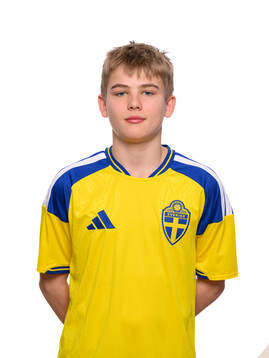 Bläddra bland fler bilder av Fotboll, P16, Sverige, Porträtt 