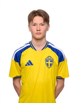 Liam Vikberg Lindgren