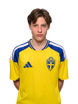 Julius Wallmark