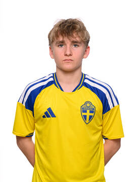 Leo Wahlgren