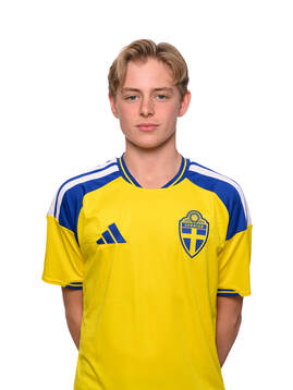 Edvin Trygg