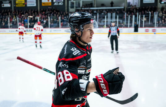 Bläddra bland fler bilder av Ishockey, Hockeyallsvenskan, Nybro - Almtuna