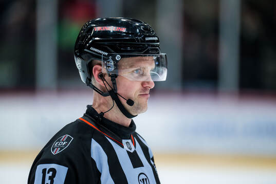 Domare Stefan Leijonklo