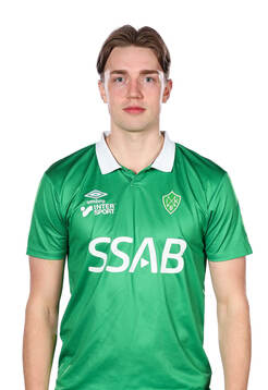 Brages Jakob Skille