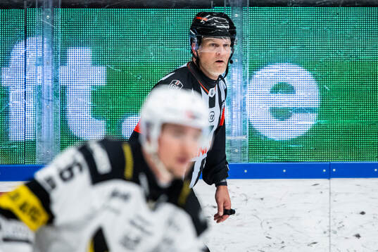 Domare Mikael Nord