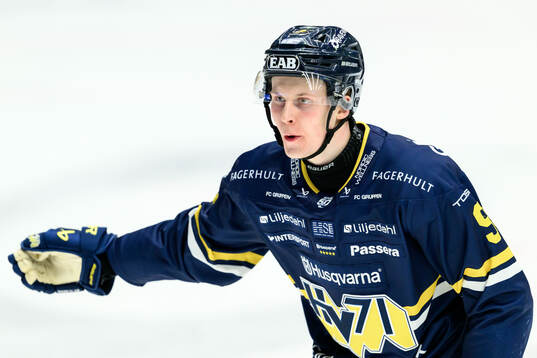 HV71s Hugo Pettersson jublar