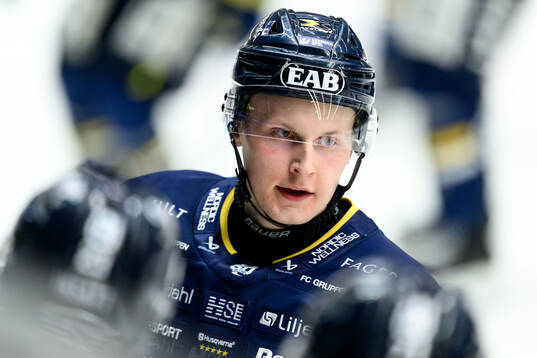 HV71s Hugo Pettersson jublar