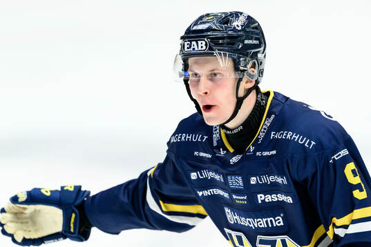 HV71s Hugo Pettersson jublar