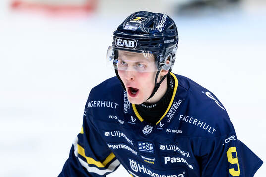 HV71s Hugo Pettersson jublar