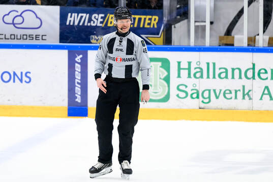Linjedomare Ludvig Lundgren
