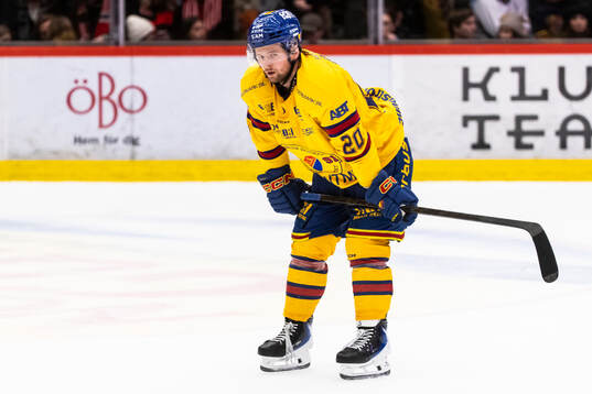 Djurgårdens Mathias Emilio Pettersen deppar