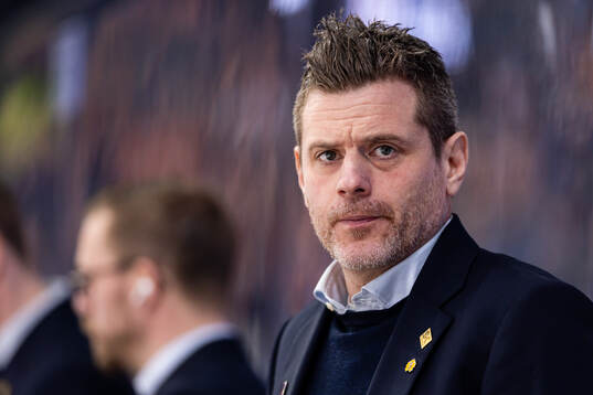 Skellefteås tränare Daniel Hermansson