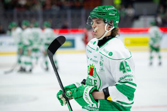 Rögles Gregor Biber