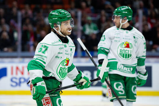 Rögles Leon Bristedt