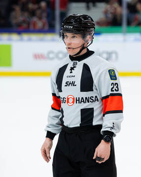Domare Alexander Österberg