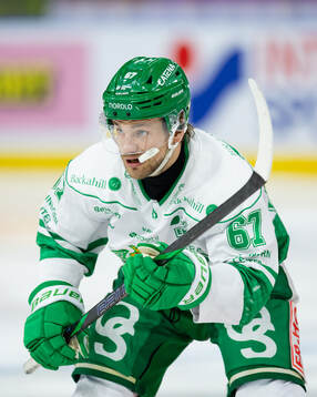 Rögles Leon Bristedt
