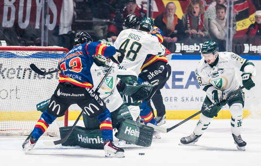 Malmö Redhawks Petter Vesterheim och Färjestads Luke Philp