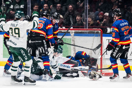 Malmö Redhawks målvakt Marek Langhamer