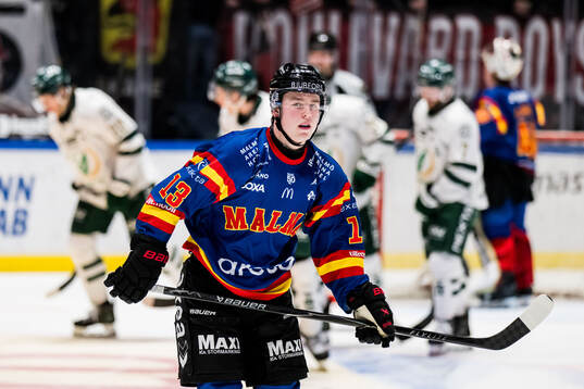 Malmö Redhawks Petter Vesterheim deppar