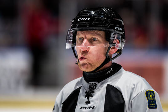 Domare Mikael Holm