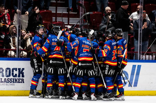 Malmö Redhawks spelare jublar