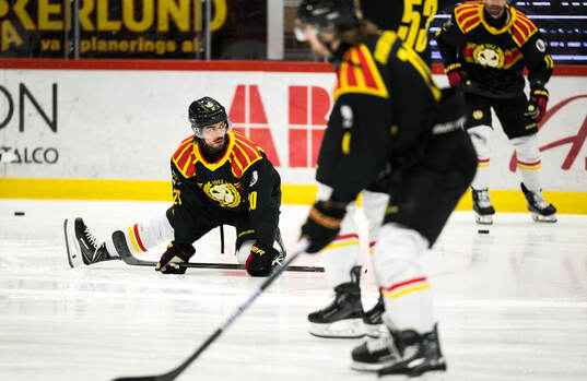 Brynäs Tyler Vesel