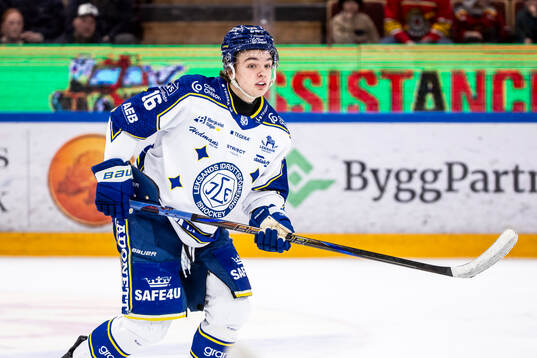Leksands Rocky Langvardt