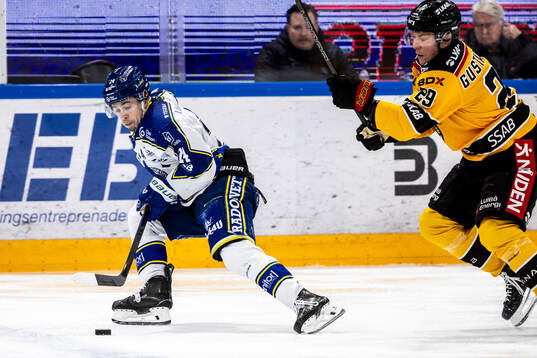 Leksands Arvid Eljas och Luleås Erik Gustafsson