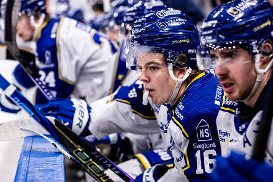 Leksands Rocky Langvardt