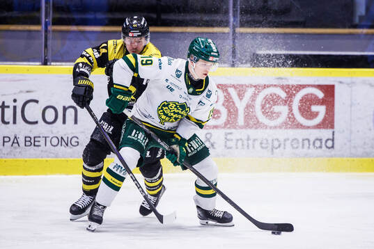 Västerås Oscar Lawner och Björklövens Liam Dower Nilsson